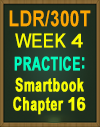 LDR/300T Innovative Leadership Week 4 Smartbook Chapter 15